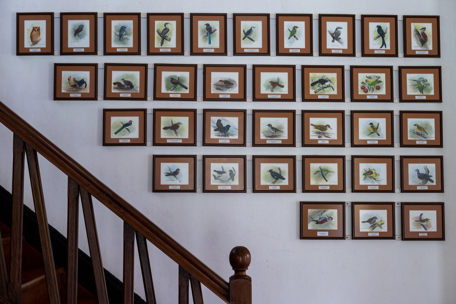 Horathapola Estate Hotel Маравила Екстериор снимка